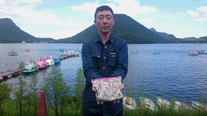 ９月３日ワカサギ釣果2