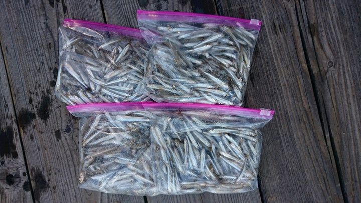 今シーズン最高記録更新