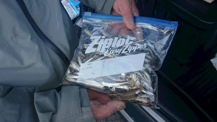 １２月２日ワカサギ釣果1