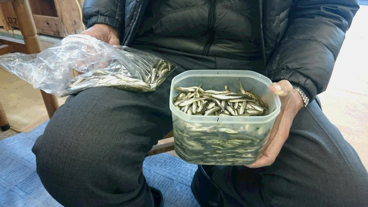 １月３０日１２００匹