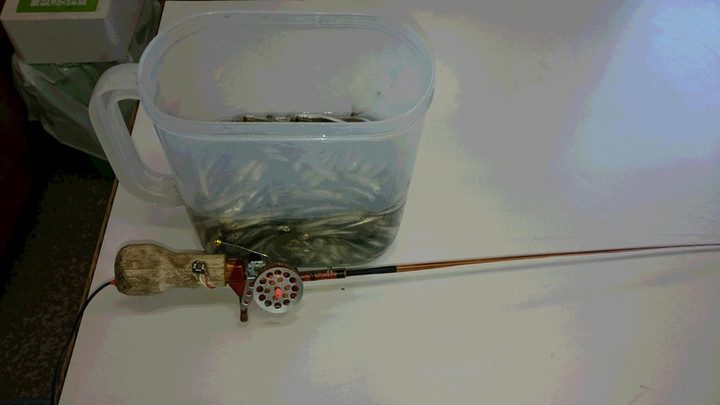 ２月８日ワカサギ釣果