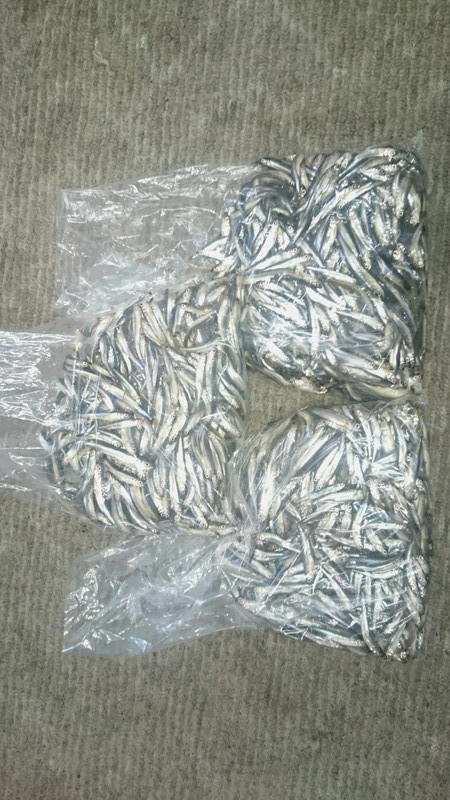 ２月２０日四度目の10束超え