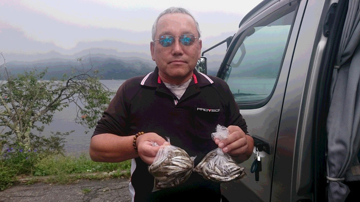 9月11日ワカサギ釣果1