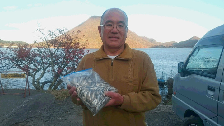 11月2日ワカサギ釣果