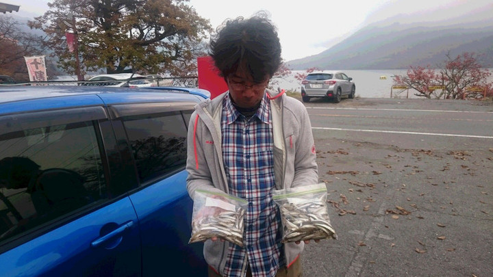 11月5日ワカサギ釣果