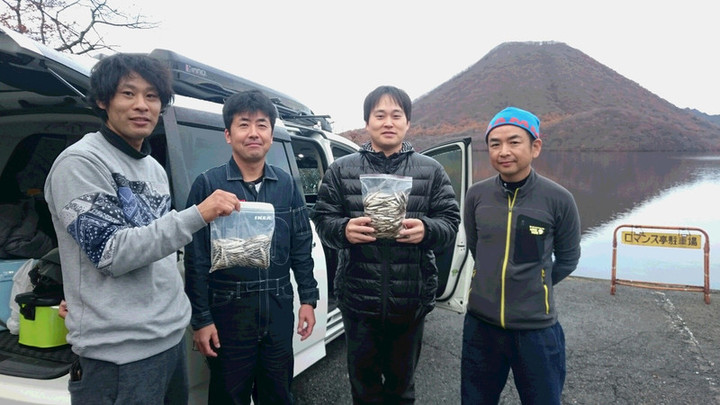 11月6日ワカサギ釣果2