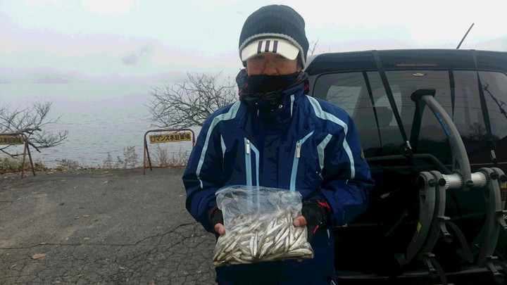 11月13日ワカサギ釣果