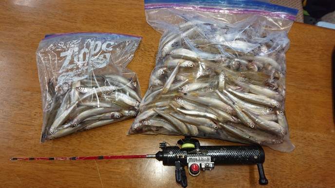 10月19日ワカサギ釣果2