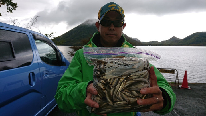 10月19日ワカサギ釣果3