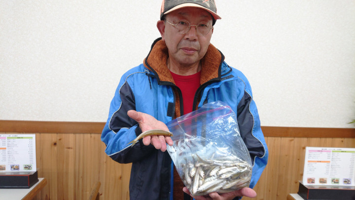 11月1日ワカサギ釣果1