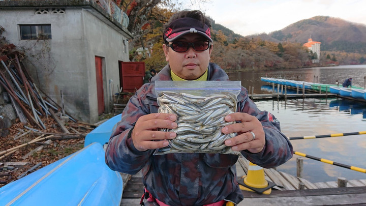 11月13日ワカサギ釣果