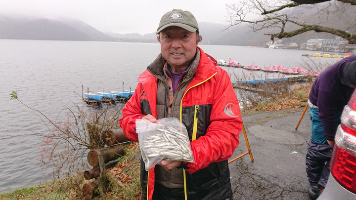 11月22日ワカサギ釣果