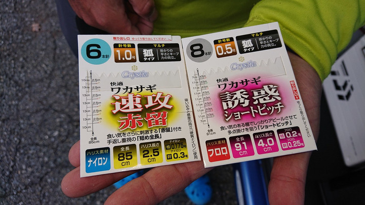 10月24日ワカサギ釣果2