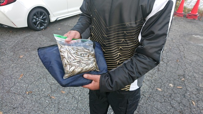 10月31日ワカサギ釣果1