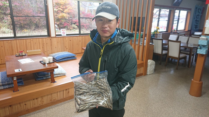 11月6日ワカサギ釣果