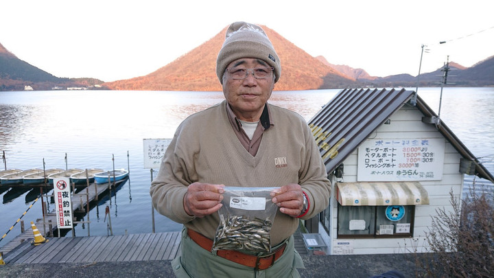 11月12日ワカサギ釣果