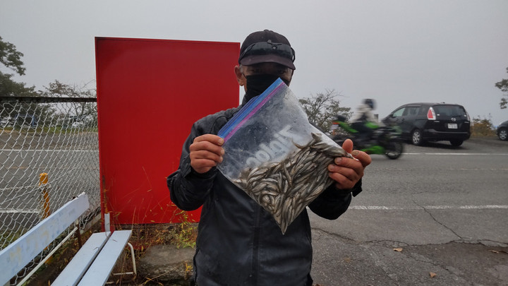 10月10日ワカサギ釣果