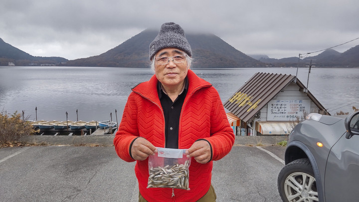 11月1日ワカサギ釣果