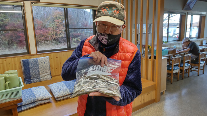 11月14日ワカサギ釣果