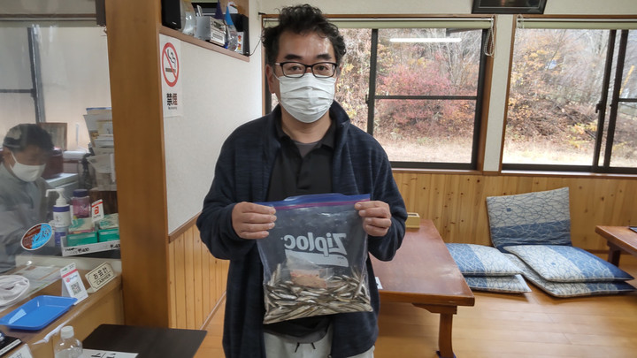 11月21日ワカサギ釣果