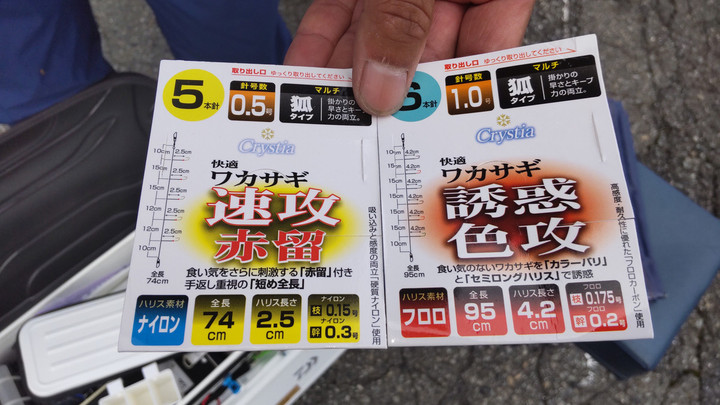 9月24日ワカサギ釣果