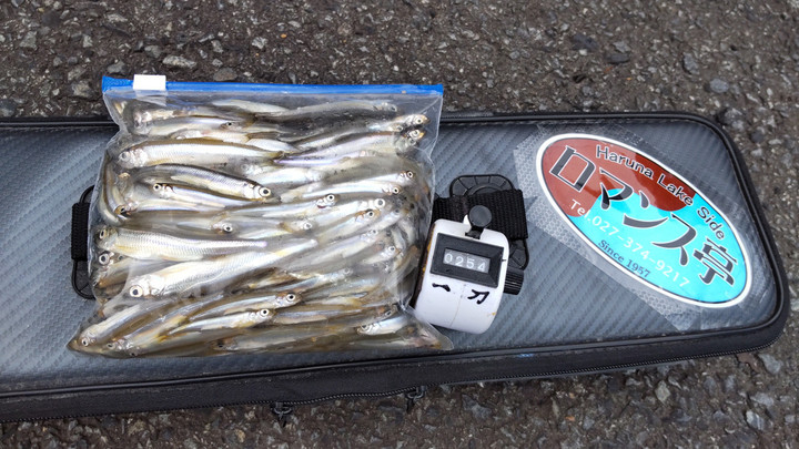 10月8日ワカサギ釣果