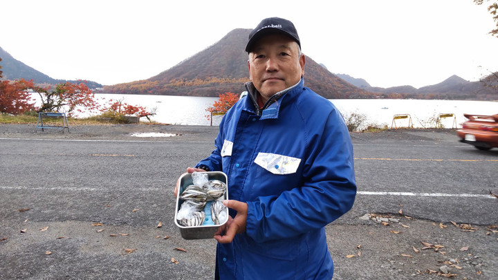11月4日ワカサギ釣果