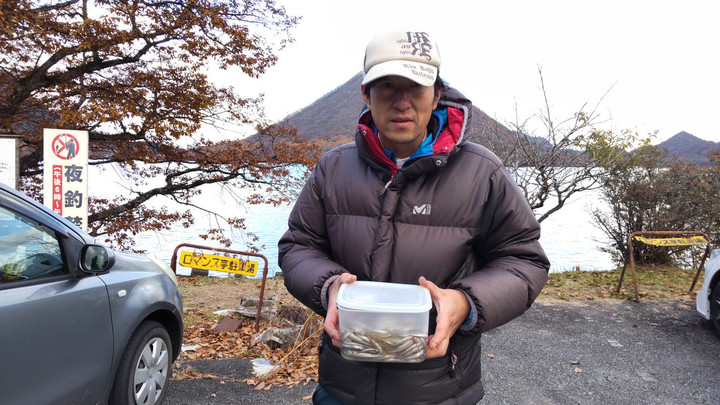 11月4日ワカサギ釣果