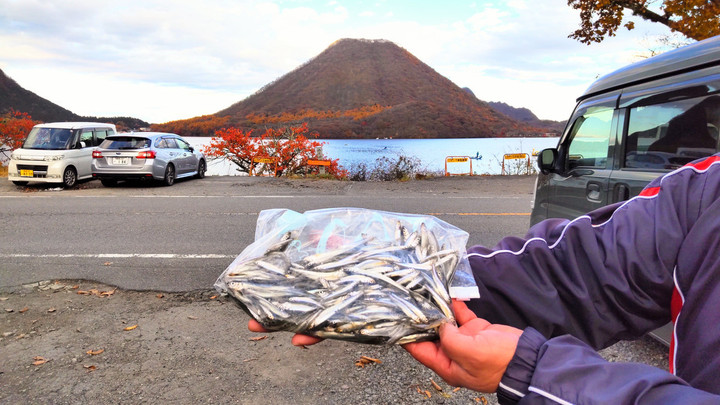 榛名湖ワカサギ釣果