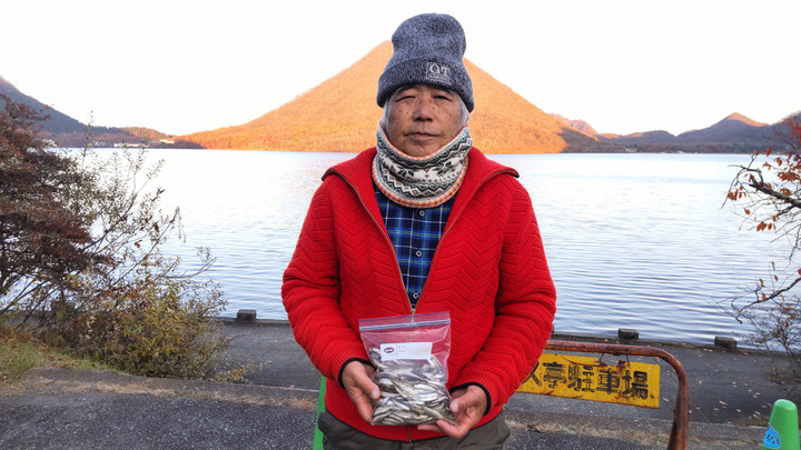 11月9日ワカサギ釣果