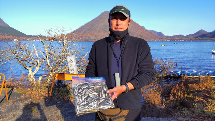 11月12日ワカサギ釣果