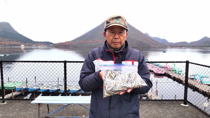 11月13日ワカサギ釣果