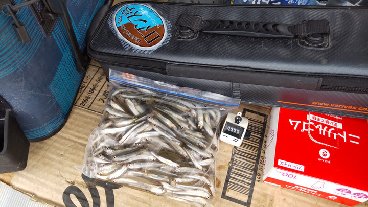 9月9日ワカサギ釣果