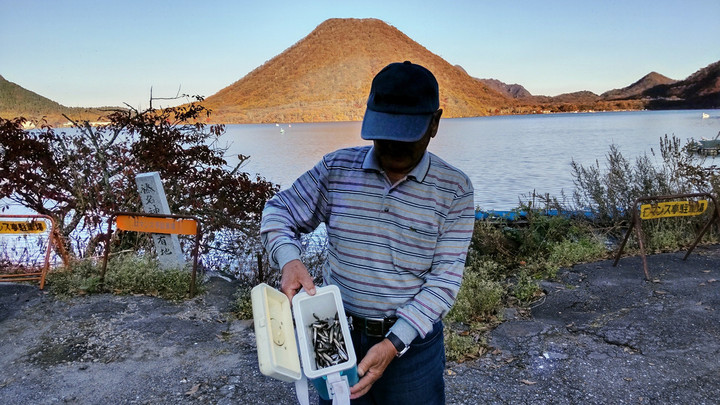 11月1日ワカサギ釣果