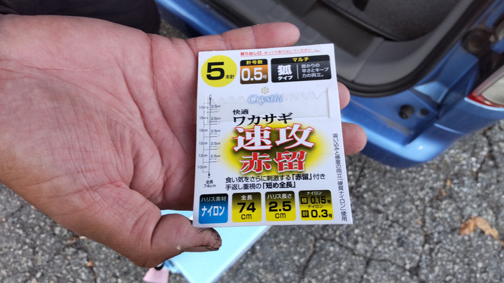 11月3日ワカサギ釣果