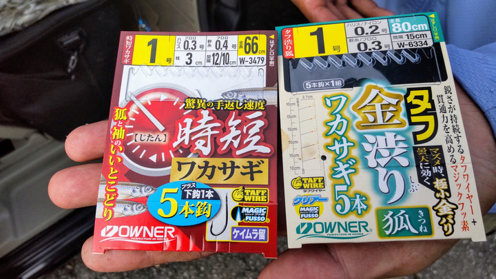 １０月１日ワカサギ釣果